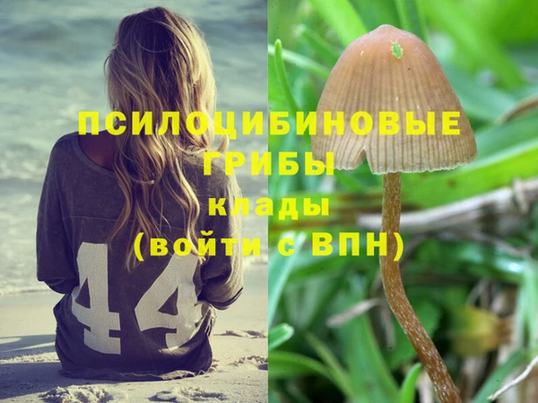 apvp Баксан