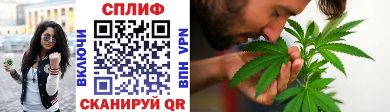 сколько стоит  Бузулук  Шишки марихуана White Widow 